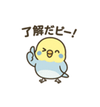 セキセイインコのしゅわちゃん（個別スタンプ：3）