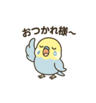 セキセイインコのしゅわちゃん（個別スタンプ：4）