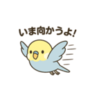 セキセイインコのしゅわちゃん（個別スタンプ：5）