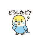 セキセイインコのしゅわちゃん（個別スタンプ：7）