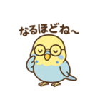 セキセイインコのしゅわちゃん（個別スタンプ：8）