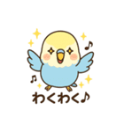 セキセイインコのしゅわちゃん（個別スタンプ：10）