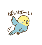セキセイインコのしゅわちゃん（個別スタンプ：12）