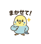 セキセイインコのしゅわちゃん（個別スタンプ：13）