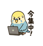 セキセイインコのしゅわちゃん（個別スタンプ：15）