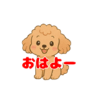 トイプーくんの日常スタンプ（個別スタンプ：1）