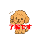 トイプーくんの日常スタンプ（個別スタンプ：3）