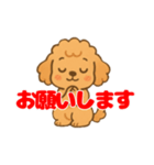トイプーくんの日常スタンプ（個別スタンプ：4）