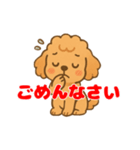 トイプーくんの日常スタンプ（個別スタンプ：6）