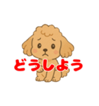 トイプーくんの日常スタンプ（個別スタンプ：7）