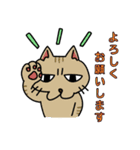 ビジネスに使えるかもしれない猫（個別スタンプ：5）
