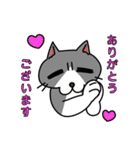 ビジネスに使えるかもしれない猫（個別スタンプ：6）