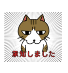 ビジネスに使えるかもしれない猫（個別スタンプ：7）