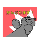 ビジネスに使えるかもしれない猫（個別スタンプ：13）