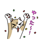 ビジネスに使えるかもしれない猫（個別スタンプ：14）
