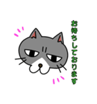 ビジネスに使えるかもしれない猫（個別スタンプ：16）