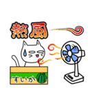 素直になれない不器用な猫様19 初夏から夏（個別スタンプ：7）