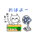 素直になれない不器用な猫様19 初夏から夏（個別スタンプ：34）