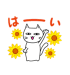 素直になれない不器用な猫様19 初夏から夏（個別スタンプ：38）