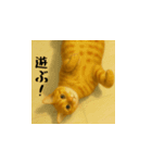 小花と吉利の日常スタンプ（日本語）（個別スタンプ：2）