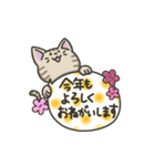 キジトラねこの【冬】スタンプ（個別スタンプ：14）