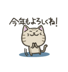 キジトラねこの【冬】スタンプ（個別スタンプ：15）