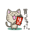キジトラねこの【冬】スタンプ（個別スタンプ：17）