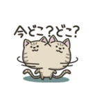 キジトラねこの【冬】スタンプ（個別スタンプ：22）