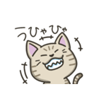 キジトラねこの【冬】スタンプ（個別スタンプ：23）