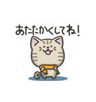 キジトラねこの【冬】スタンプ（個別スタンプ：24）