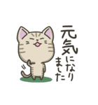 キジトラねこの【冬】スタンプ（個別スタンプ：29）