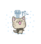 キジトラねこの【冬】スタンプ（個別スタンプ：33）