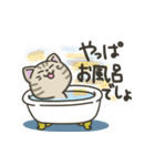 キジトラねこの【冬】スタンプ（個別スタンプ：34）
