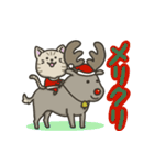 キジトラねこの【冬】スタンプ（個別スタンプ：39）