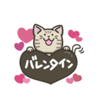 キジトラねこの【冬】スタンプ（個別スタンプ：40）