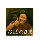 平凡主婦ベッキー×獰猛な動物（個別スタンプ：8）