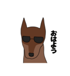 ドーベルマンのすたんぷ（個別スタンプ：1）