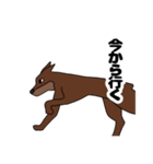 ドーベルマンのすたんぷ（個別スタンプ：4）