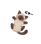 猫みたいにゆるゆる気分（個別スタンプ：1）
