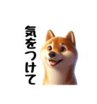 柴犬に愛情を詰め込んで！（個別スタンプ：6）