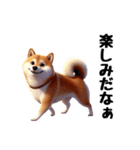 柴犬に愛情を詰め込んで！（個別スタンプ：11）
