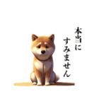 柴犬に愛情を詰め込んで！（個別スタンプ：16）