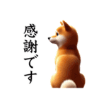 柴犬に愛情を詰め込んで！（個別スタンプ：21）