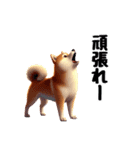 柴犬に愛情を詰め込んで！（個別スタンプ：36）