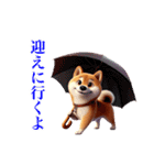 柴犬に愛情を詰め込んで！（個別スタンプ：37）