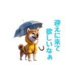 柴犬に愛情を詰め込んで！（個別スタンプ：39）
