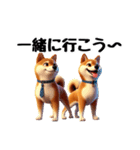 柴犬に愛情を詰め込んで！（個別スタンプ：40）