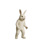 [アレンジ用]白いウサギのキグルミ（個別スタンプ：1）