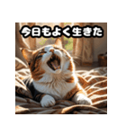 なまけ猫のゆるい日々（個別スタンプ：2）
