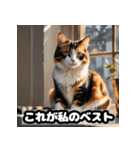 なまけ猫のゆるい日々（個別スタンプ：9）
